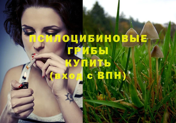 spice Кукмор