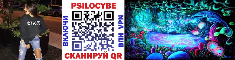 где купить   Волгодонск  Псилоцибиновые грибы GOLDEN TEACHER 