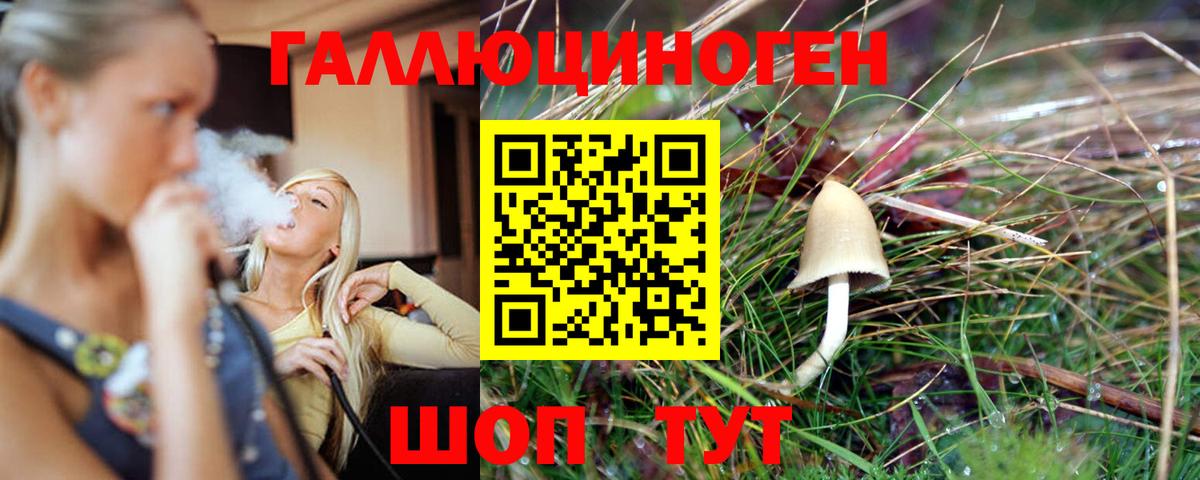 Псилоцибиновые грибы мухоморы  Волгодонск 