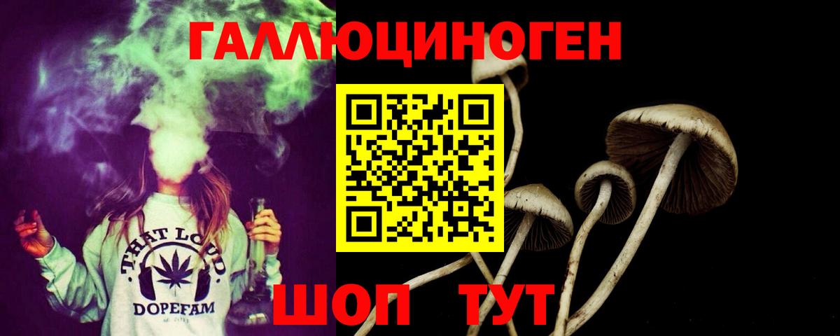 Псилоцибиновые грибы Psilocybine cubensis Волгодонск